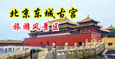 嗯嗯艹中国北京-东城古宫旅游风景区